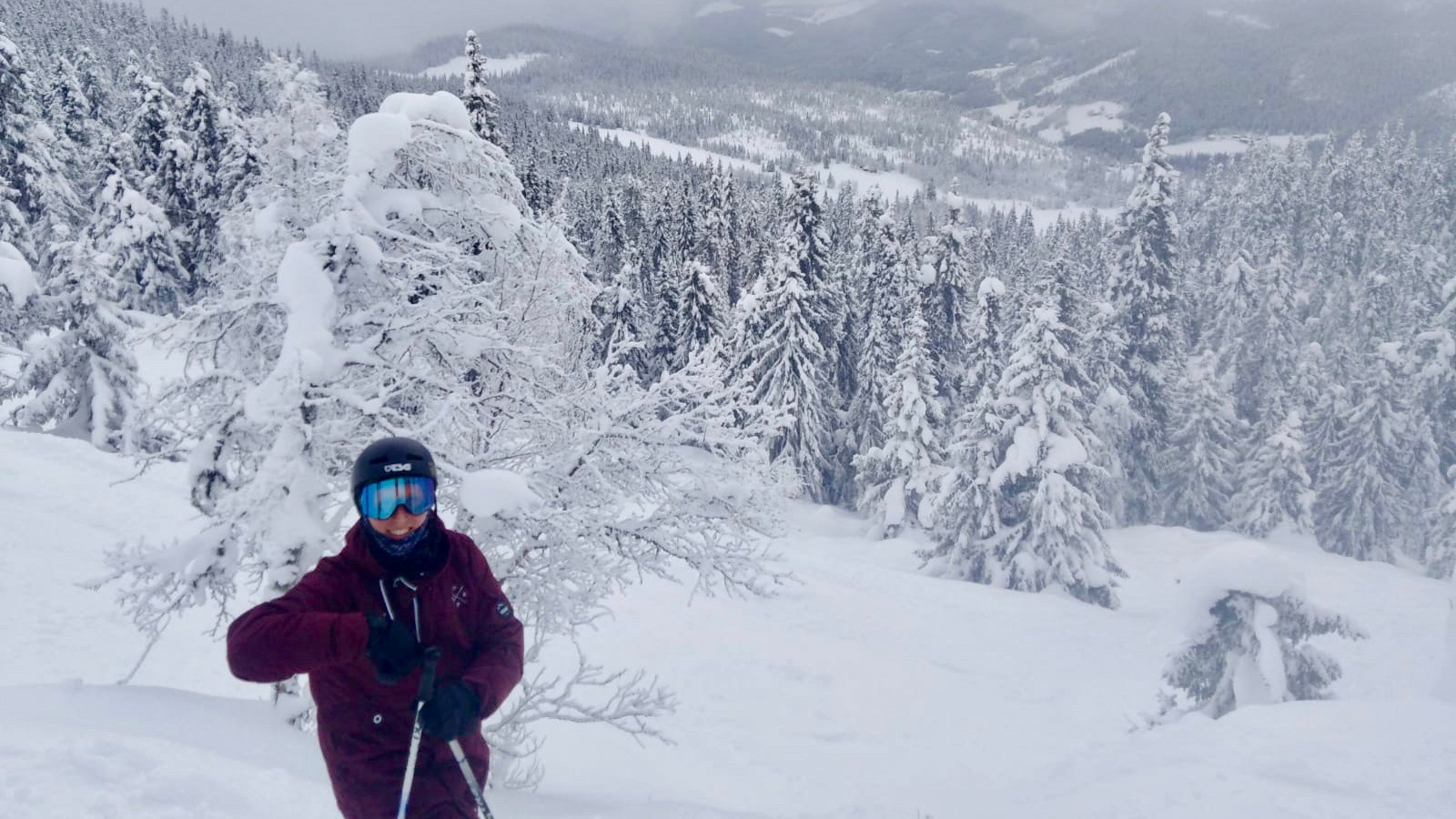 An Unbelievable Year With Ski Safari Ski Safari