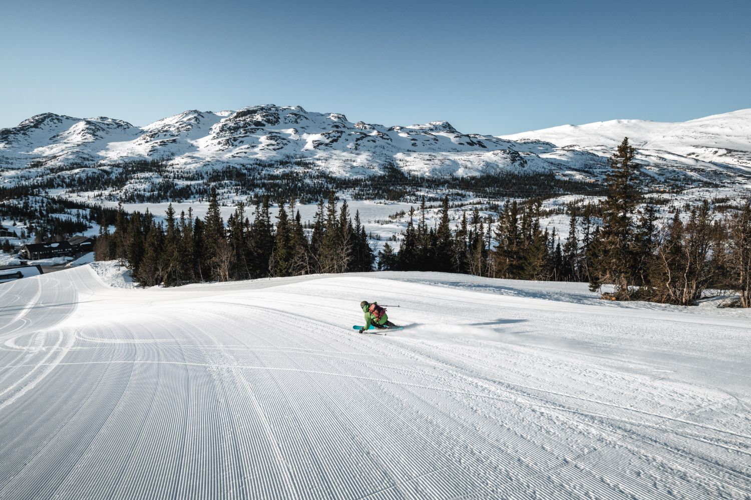 Perfect Groomers in Gausta © Gausta