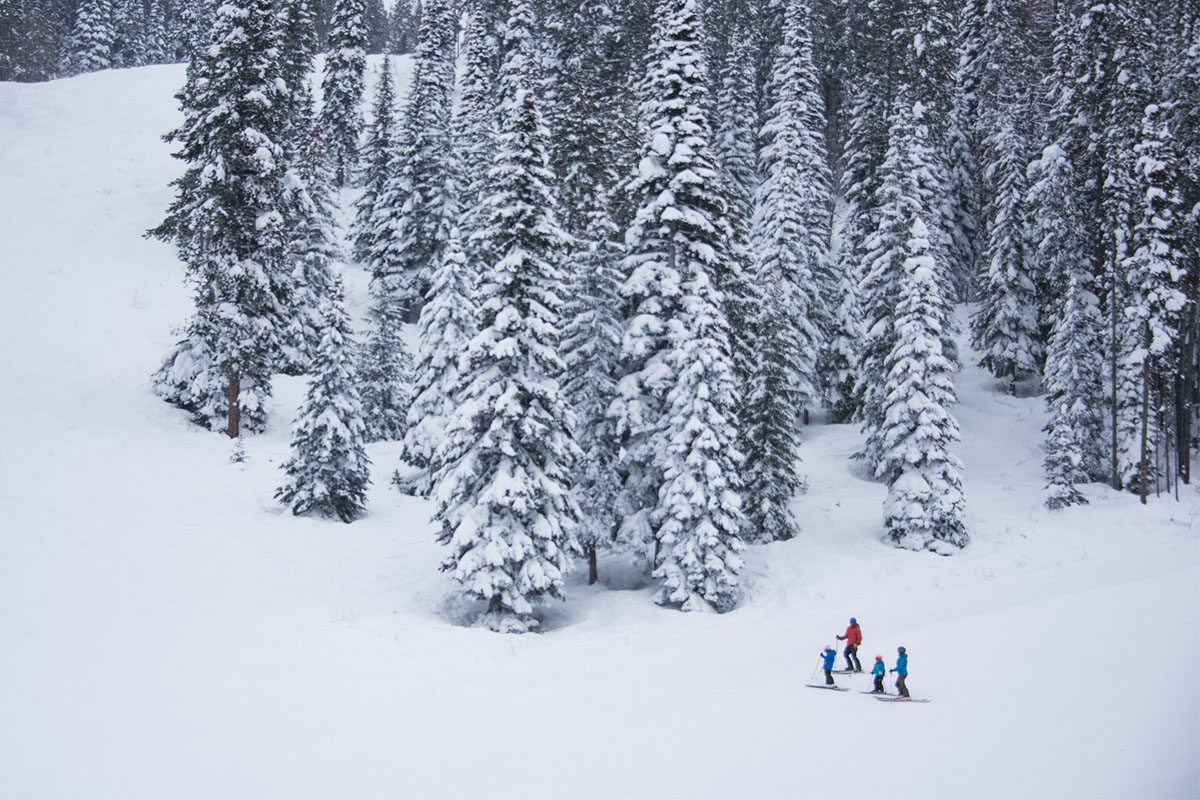 Kimberley Family Skiing in Fresh Snow © Destination BC / Kari Medig Kimberley Family Skiing in Fresh Snow © Destination BC / Kari Medig