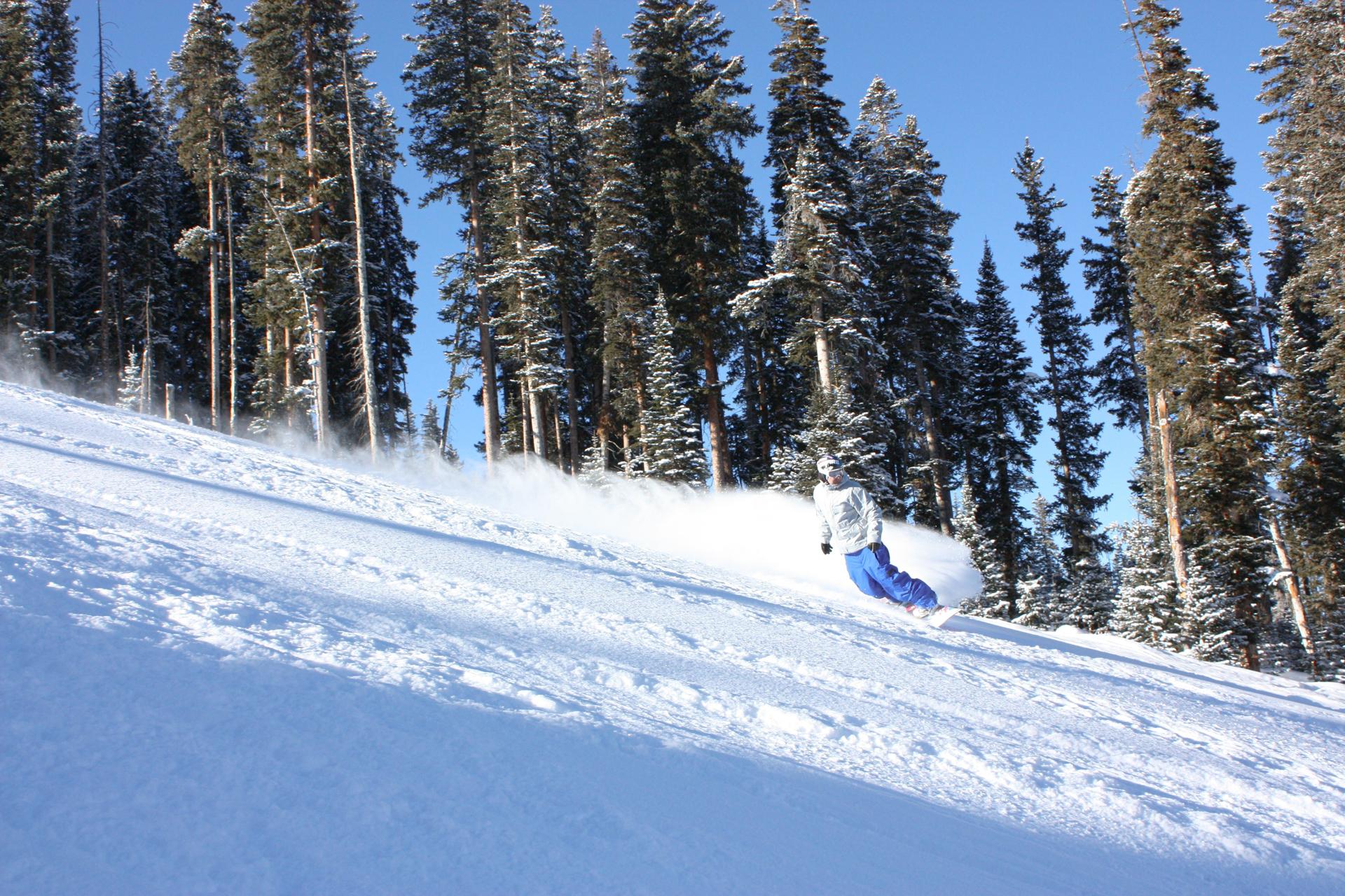 Andy on Kicking Horse's More Mellow Terrain Andy on Kicking Horse's More Mellow Terrain