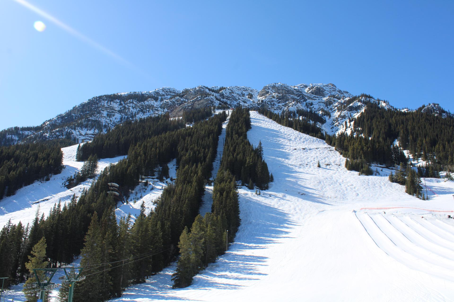 Tree-lined runs at the base of Mt. Norquay Tree-lined runs at the base of Mt. Norquay