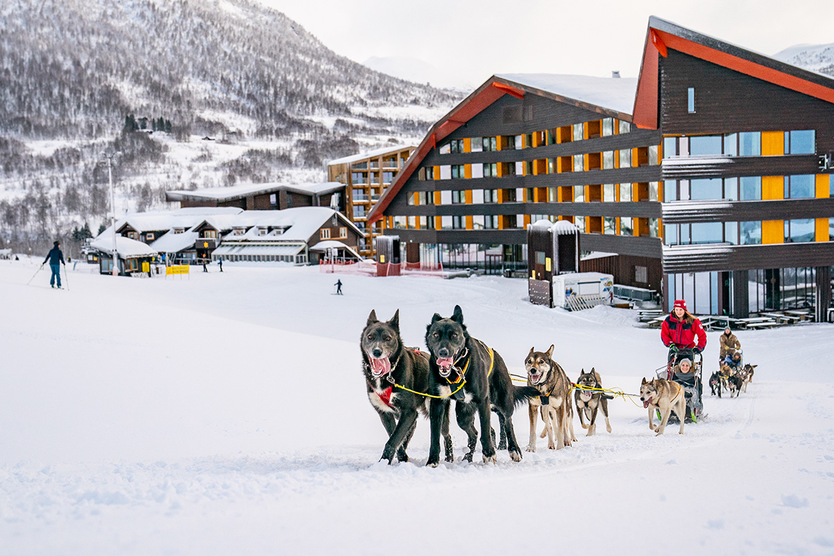 Dog Sledding from Myrkdalen Hotel © Sverre Hjornevik Dog Sledding from Myrkdalen Hotel © Sverre Hjornevik