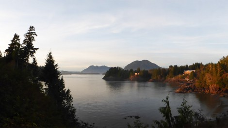 10 Things to Do in Tofino 10 Things to Do in Tofino