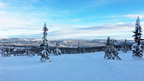 Trysil gentle slopes Trysil gentle slopes