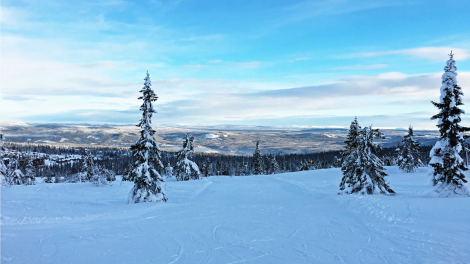 Trysil gentle slopes Trysil gentle slopes