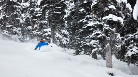 Whistler Powder Day 3 © Mitch Winton / coastphoto.com Whistler Powder Day 3 © Mitch Winton / coastphoto.com